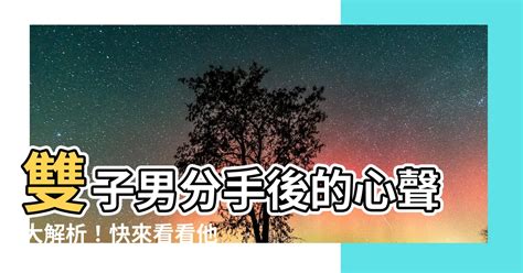 雙子分手後|雙子男分手後還愛的表現：你看得見的心之痕跡 – 星語軌跡 讓星。